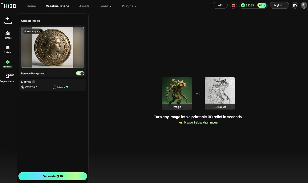 hi3d-3d-relief-generator-coin-image-conversion