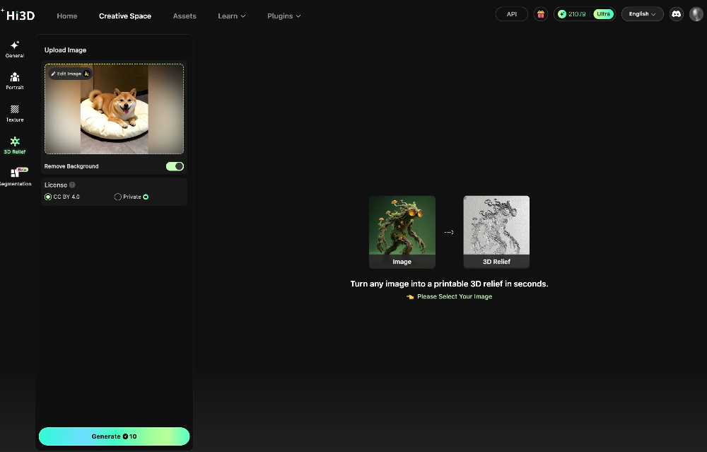Hi3D 3D Relief generator interface with Shiba Inu photo upload